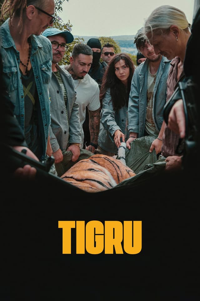 Movie poster